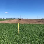 Reclamation Inspections Process