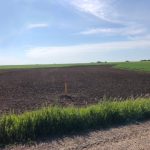 Reclamation Inspections - Soil