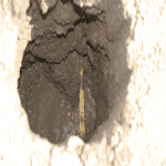 Ground Disturbance - Daylighting