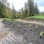 Projects Quality Control Assurance