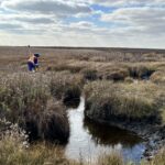 Depth of Cover Image 2